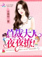 总裁大人,难伺候!